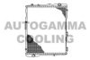 AUDI 893121251S Radiator, engine cooling